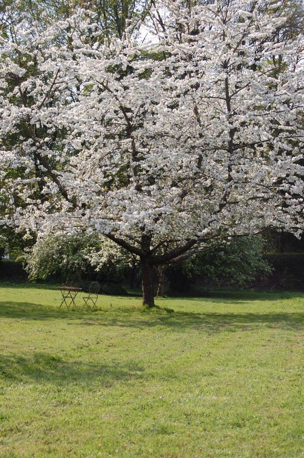 Gite Dans Un Domaine Historique Chevreuse Ngoại thất bức ảnh